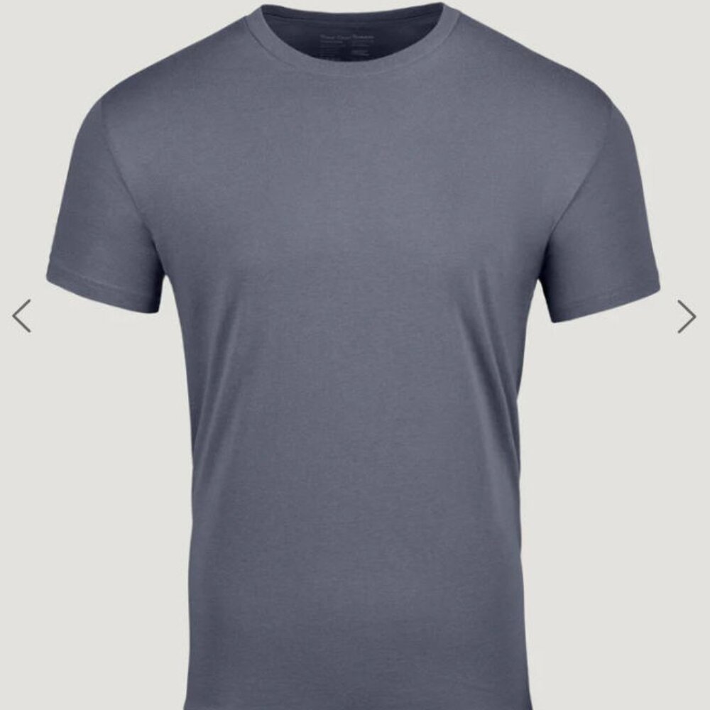 Fresh Clean Threads - Slate Crew Neck Tee Regular Length